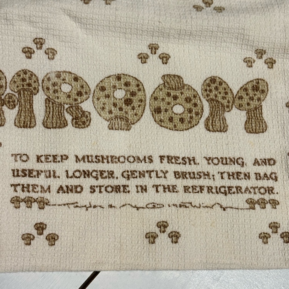 Vintage Taylor & Ng Mushroom Storage Bag / Cottagecore Kitchen Cotton